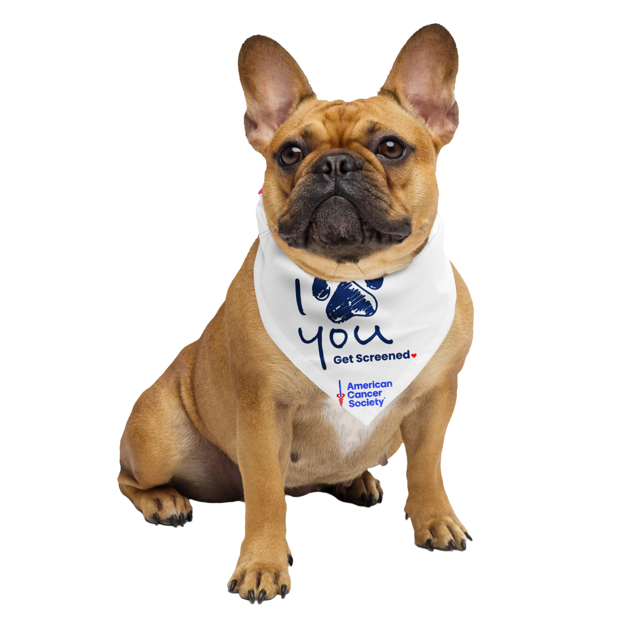 I Love You Get Screened Dogdana Pet Bandana - Made to Order