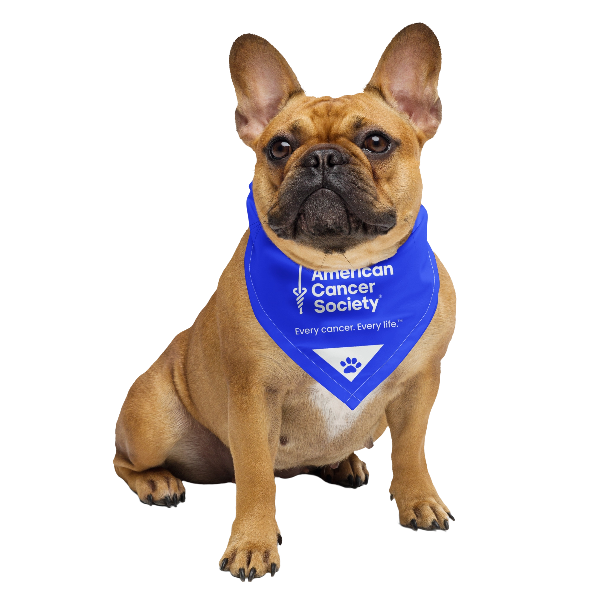 PAWS for Cancer Dogdana Pet Bandana - Made to Order