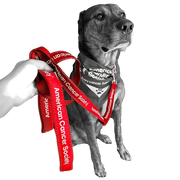 American Cancer Society Elite+ Dog Leash 1" x 6' - Red