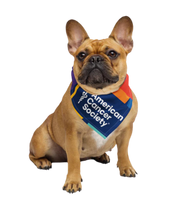 American Cancer Society Pattern Dogdana Pet Bandana - Made to Order