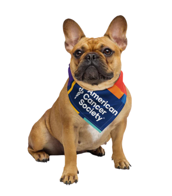 eStore | American Cancer Society – American Cancer Society eStore