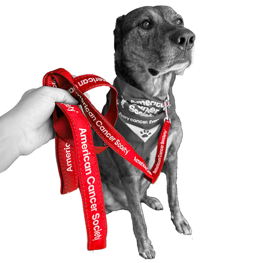 American Cancer Society Elite+ Dog Leash 1" x 6' - Red