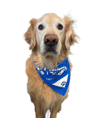 PAWS for Cancer Dogdana Pet Bandana - Made to Order